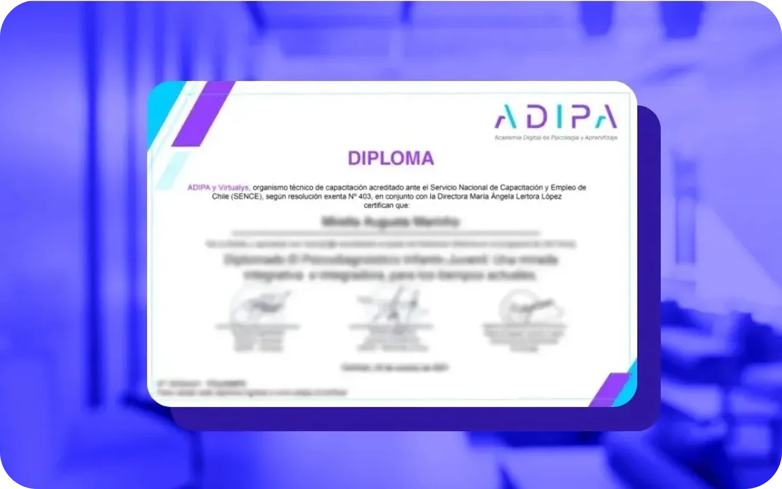 Programas certificados