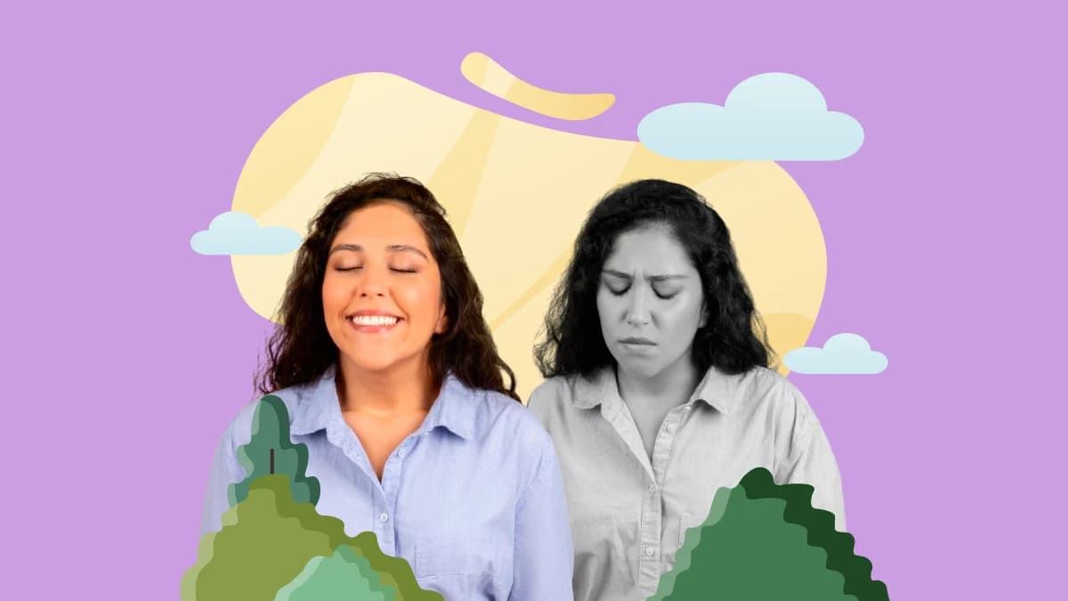 Imagen previa de Curso: Abordaje del Trastorno Afectivo Bipolar desde la Terapia Cognitivo Conductual
