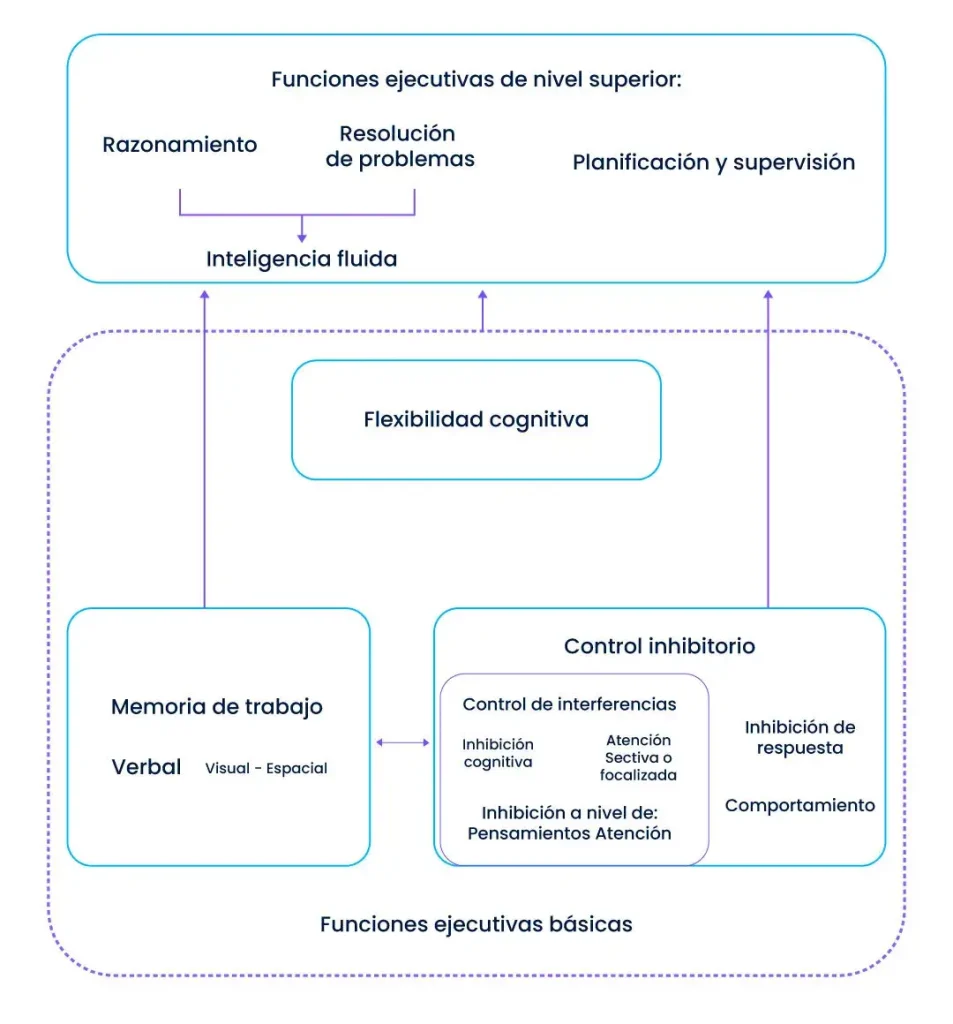 Paraguas con etiquetas que representan funciones ejecutivas como memoria de trabajo, planificación y regulación socioemocional