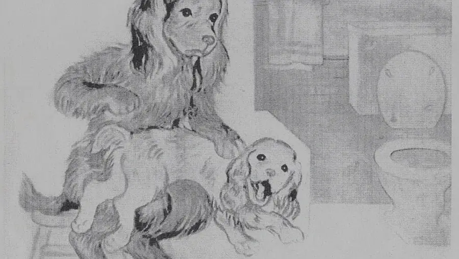 Lámina 10 Descripción: Un perro grande con un cachorro sobre las piernas en un baño.