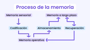 proceso de la memoria