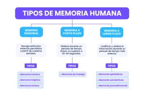 tipos de memoria humana adipa1