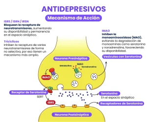 como funcionan los antidepresivos 