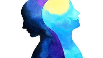 Seminario: Relevancia clínica del test de Relaciones Objetales