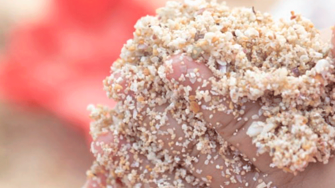 Técnica de la Bandeja de Arena: ¿Qué es y para qué sirve?