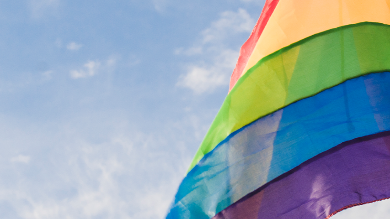 Intervención Clínica en Familias con Adolescentes Transgénero