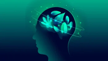 Bases neurobiológicas de los problemas de conducta en etapas infantiles y adolescentes