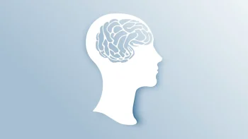 El neurodesarrollo y sus alteraciones