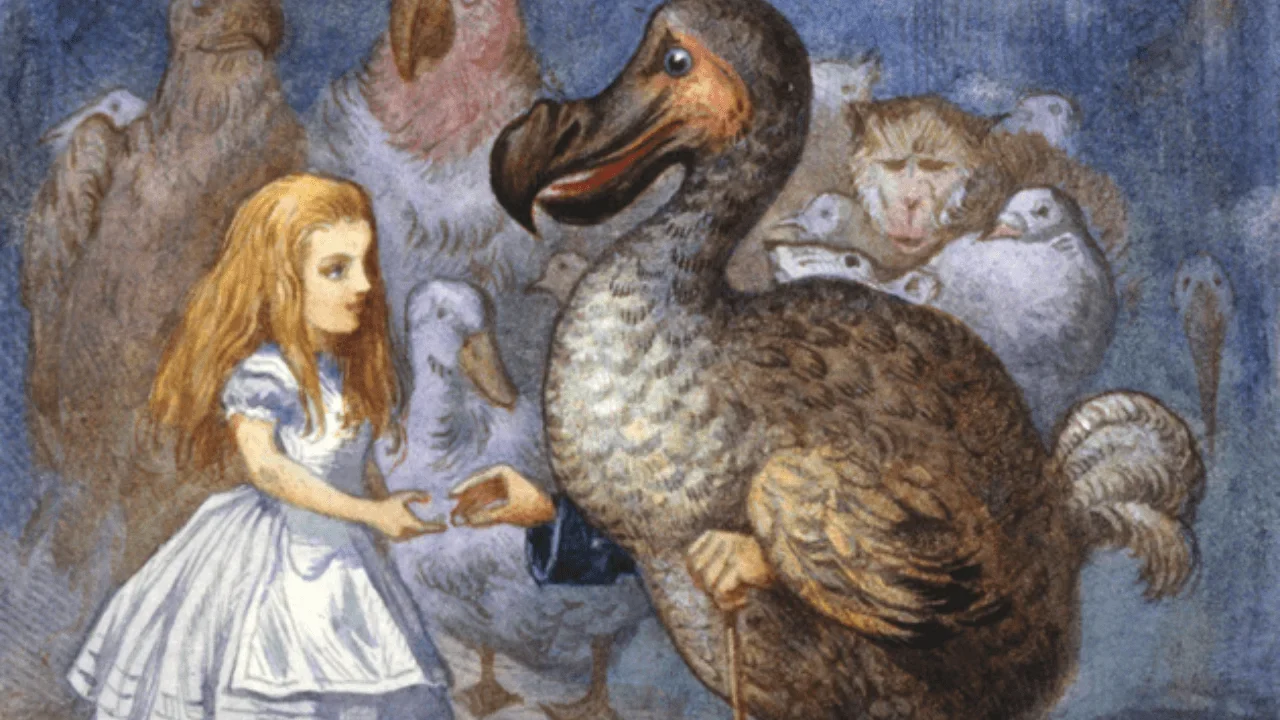 El veredicto del pájaro Dodo
